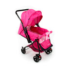 Rosa - IMP01340