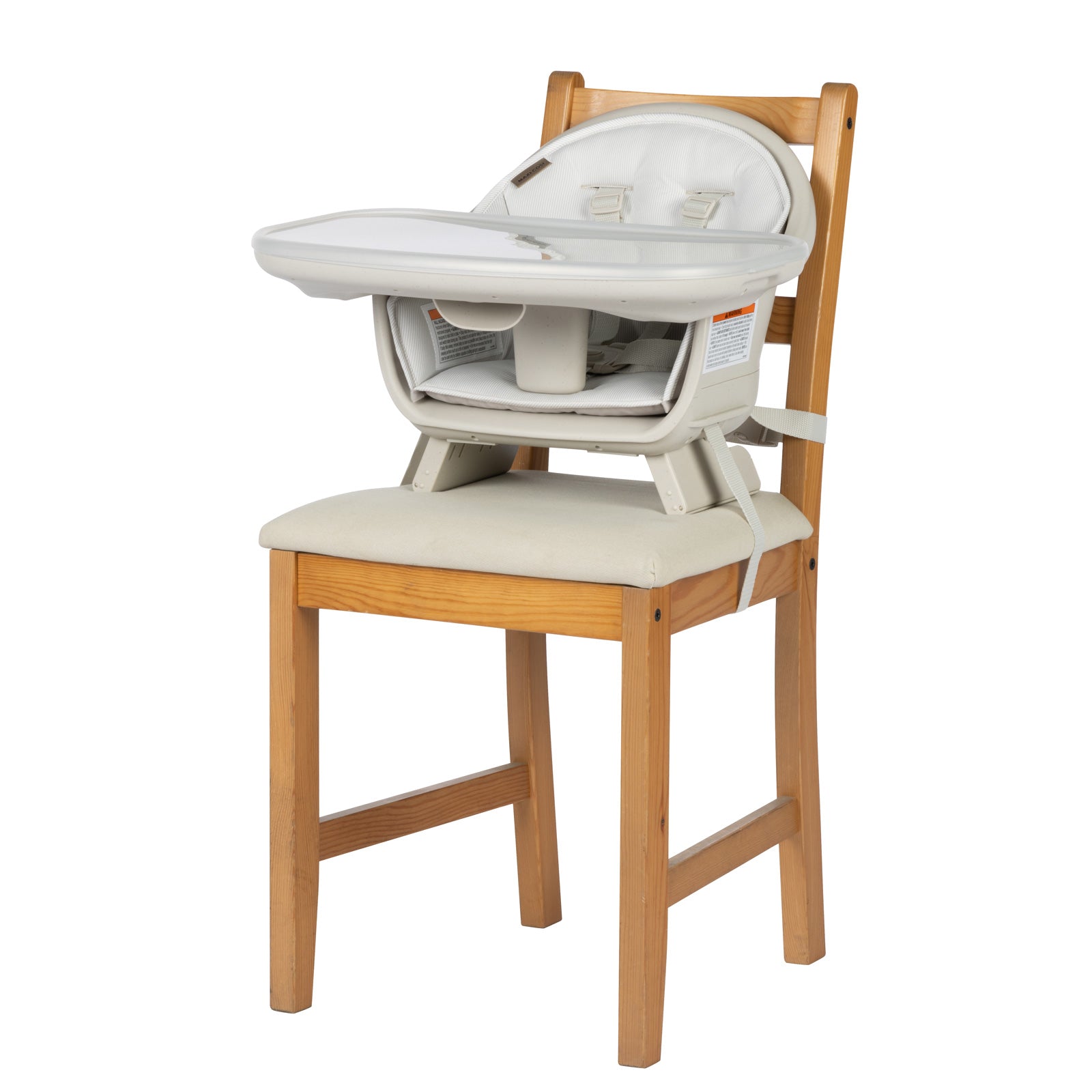 Classic Oat - IMP02484