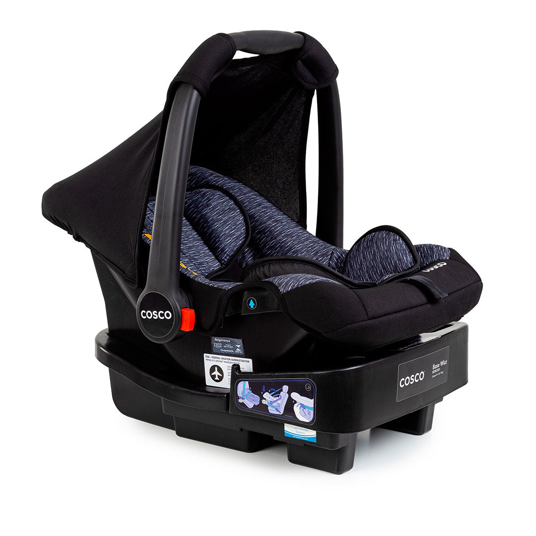 Preto Rajado - CAX01034