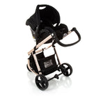 Black Rosé - CAX00406
