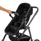 Preto - CAX00689