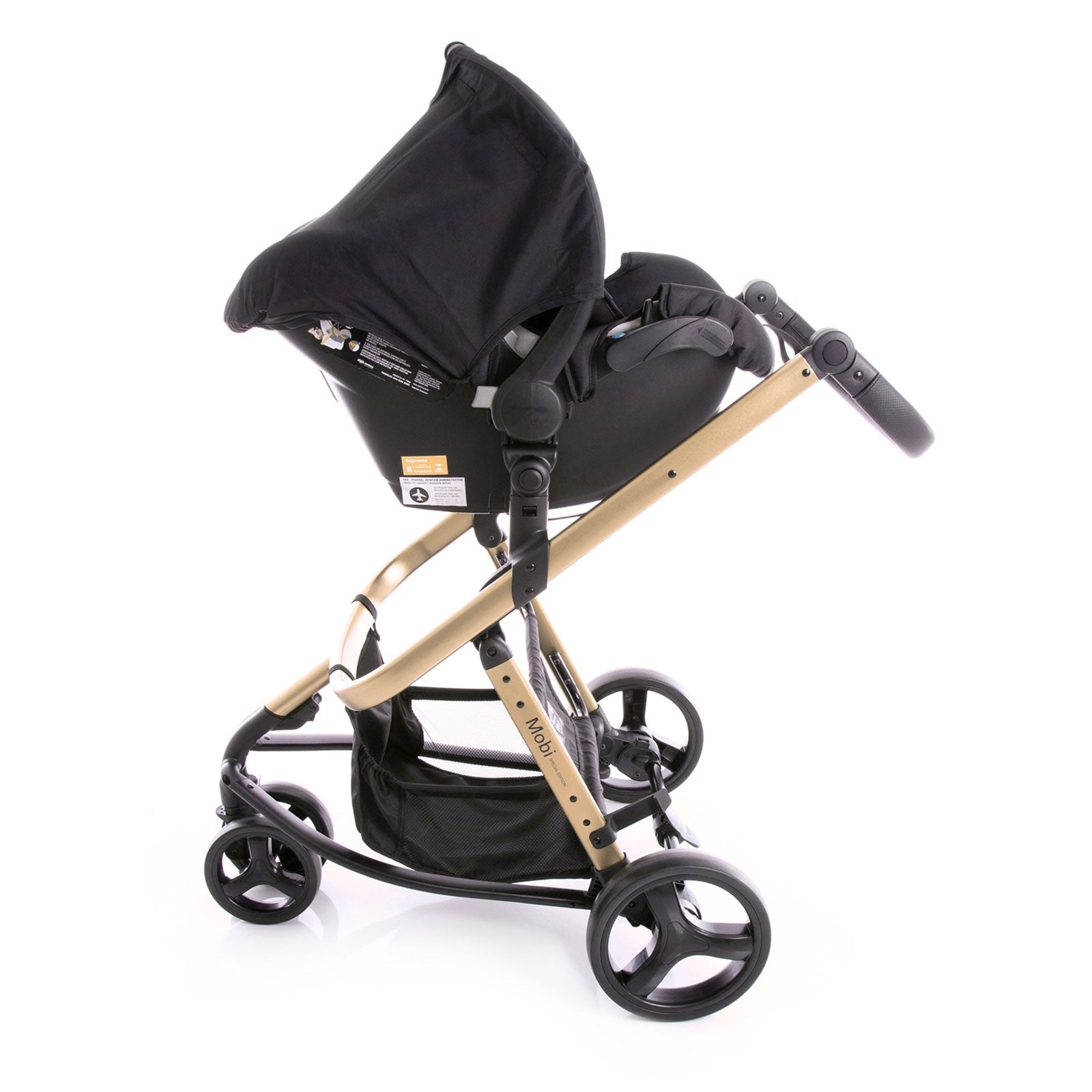 Black Gold - CAX00486