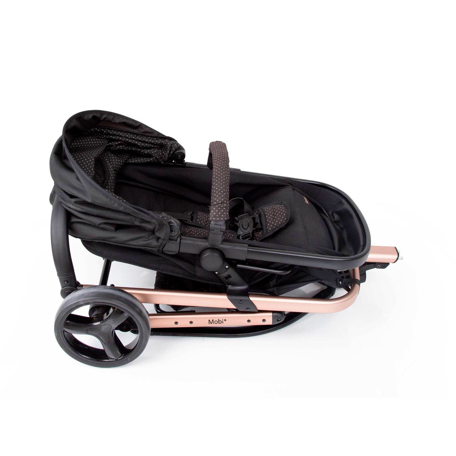 Black Rosé - CAX00558