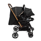 Preto Mocca - CAX00951