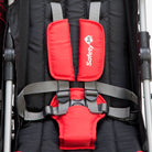 Alpha Red - IMP91005