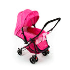 Rosa - IMP01340