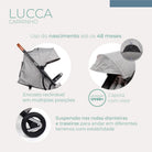 Cinza - IMP02412