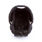 Black Gold - CAX00486