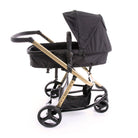 Black Gold - CAX00486