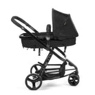 Full Black - IMP91398