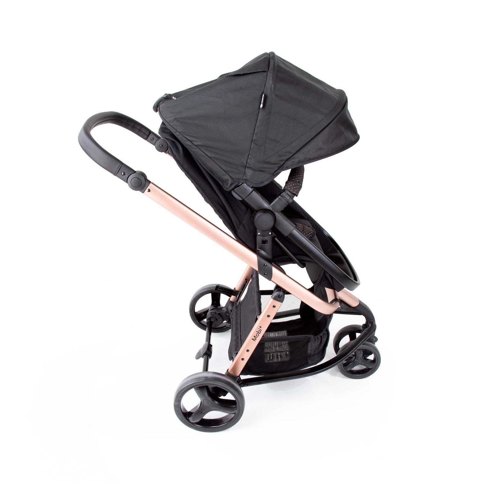 Black Rosé - CAX00558