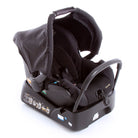 Black Gold - CAX00486