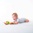 Apple - IMP01574