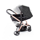 Black Rosé - CAX00558