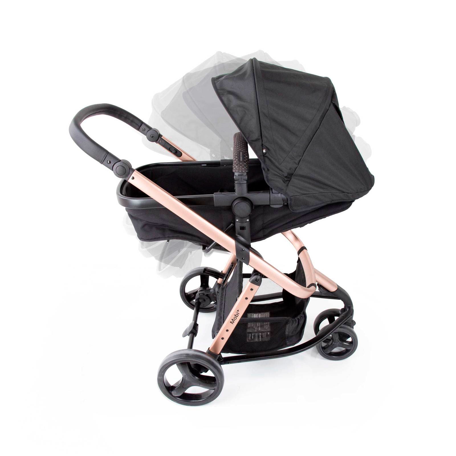 Black Rosé - CAX00558