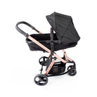 Black Rosé - CAX00558