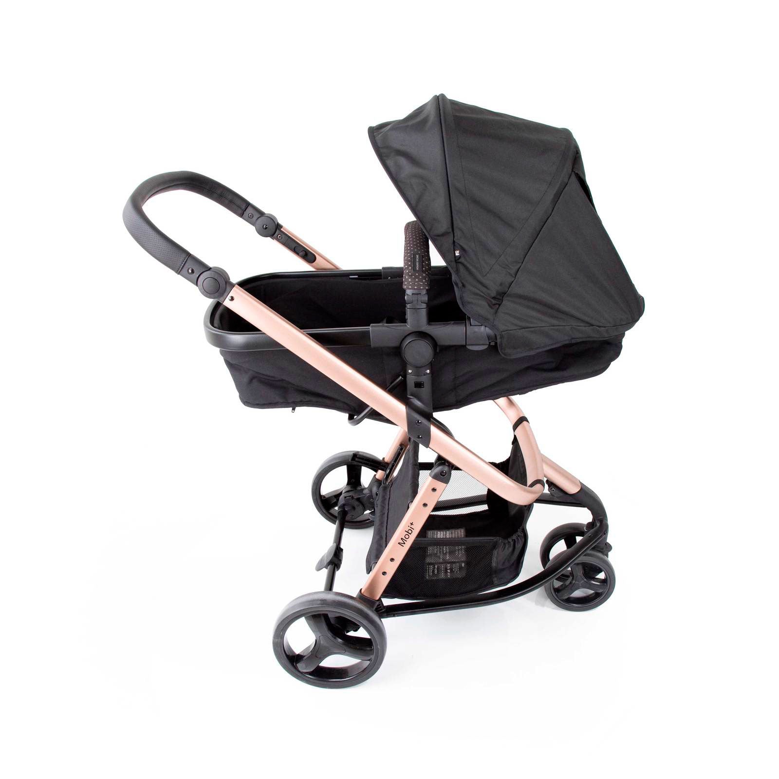 Black Rosé - CAX00558