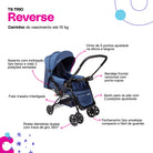 Azul Rajado
