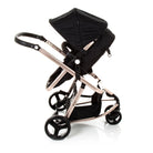 Black Rosé - CAX00406