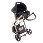 Black Gold - CAX00486