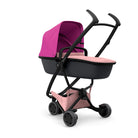 Blush on Graphite - IMP91493