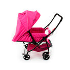 Rosa - IMP01340