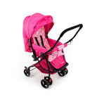 Rosa - IMP01340