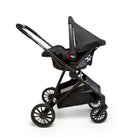 Preto Absoluto - CAX00924