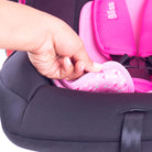 Rosa - IMP91354