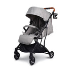 Cinza - IMP02412