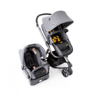 Grey Sport - CAX00556