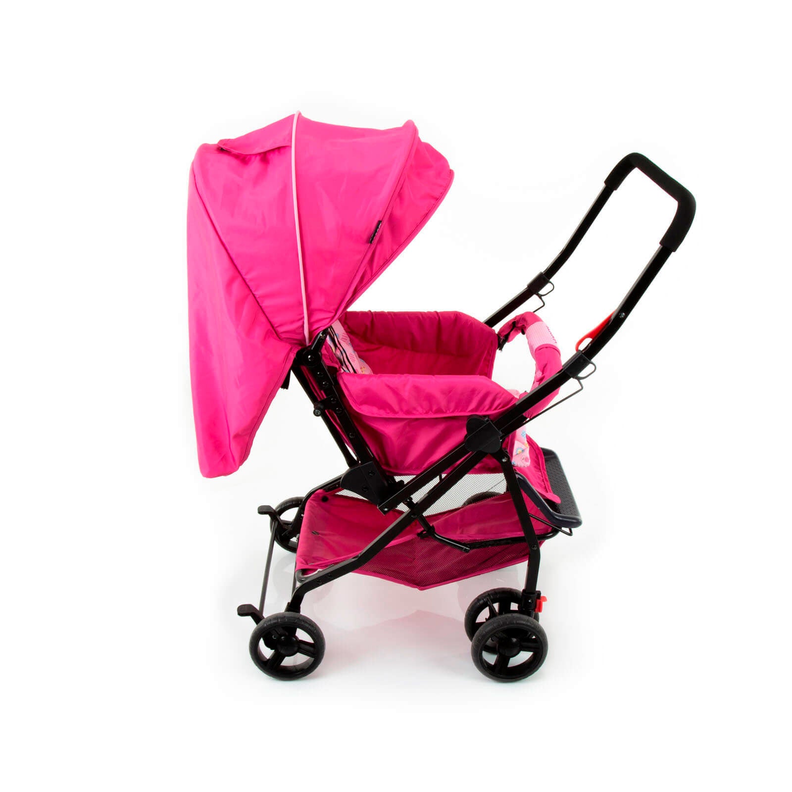 Rosa - IMP01340
