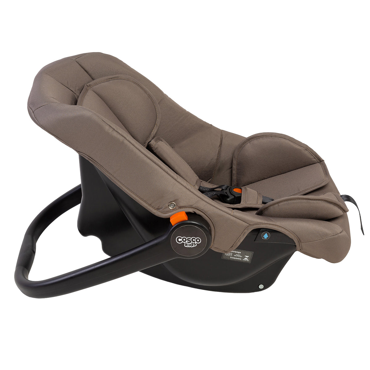 Taupe - CAX01127