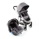 Grey Classic - CAX00429