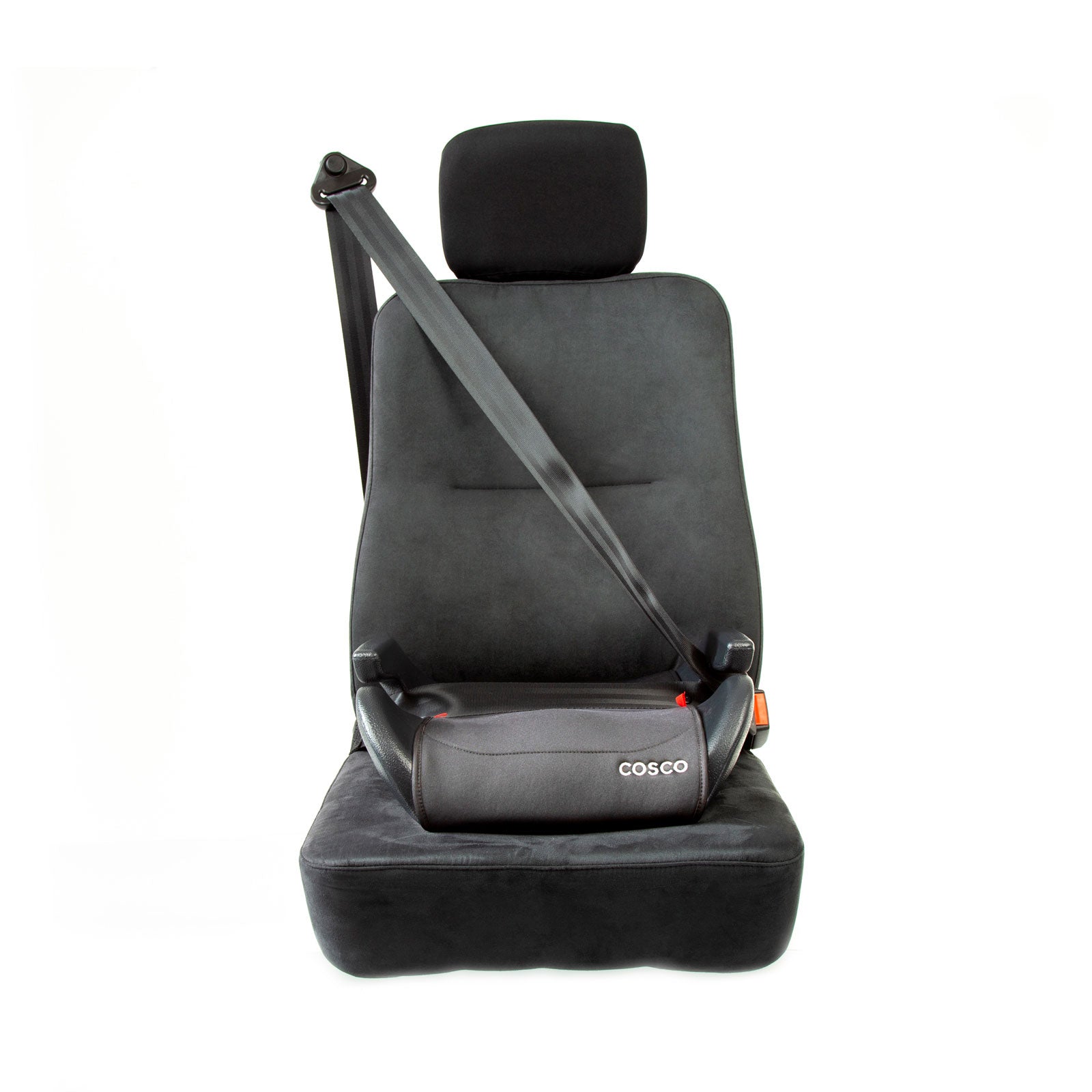 Cinza - CAX00567