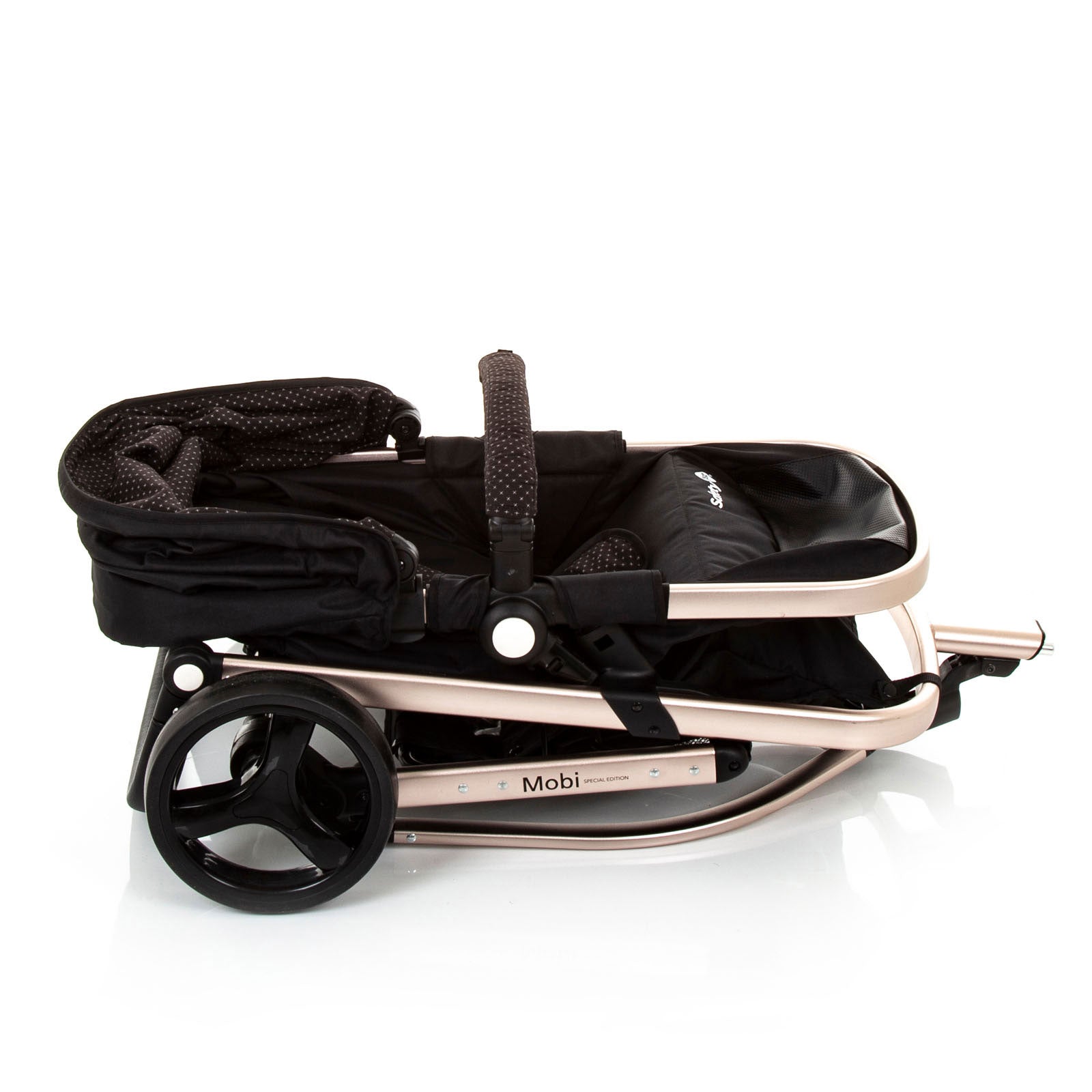 Black Rosé - CAX00406