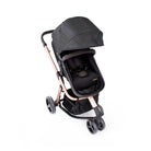 Black Rosé - CAX00558