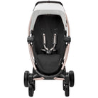 Luxesport - IMP91531