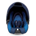 Azul Rajado - CAX00478