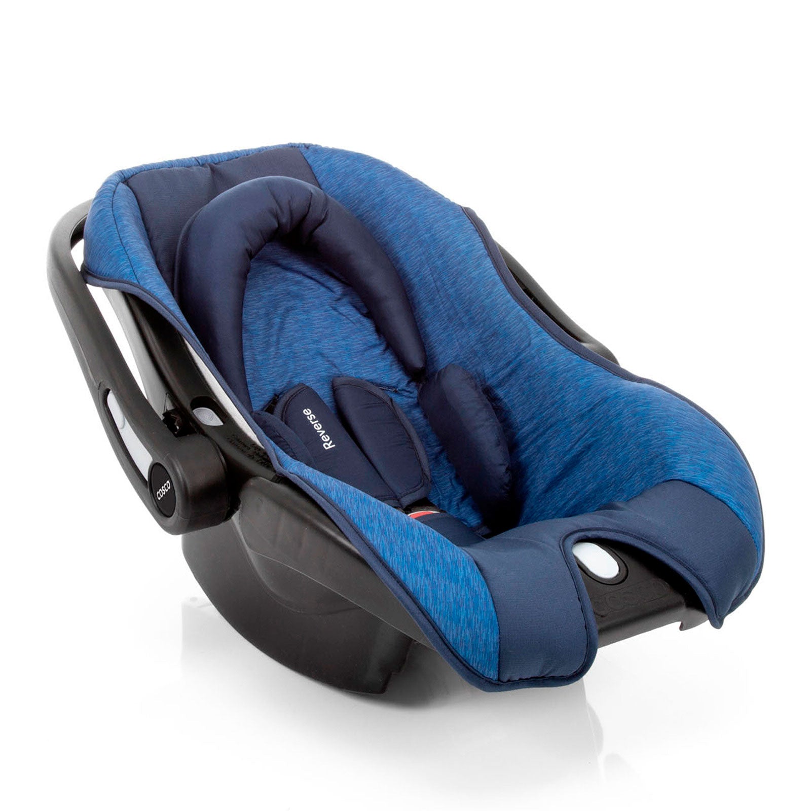 Azul Rajado - CAX00478