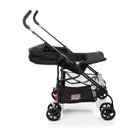 Black - IMP91524