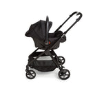 Full Black - CAX01004