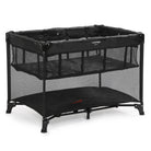 Preto Liso - IMP02591
