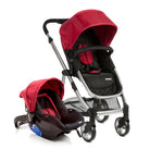 Cherry - CAX90255