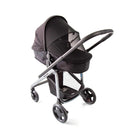 Essential Black - IMP01934