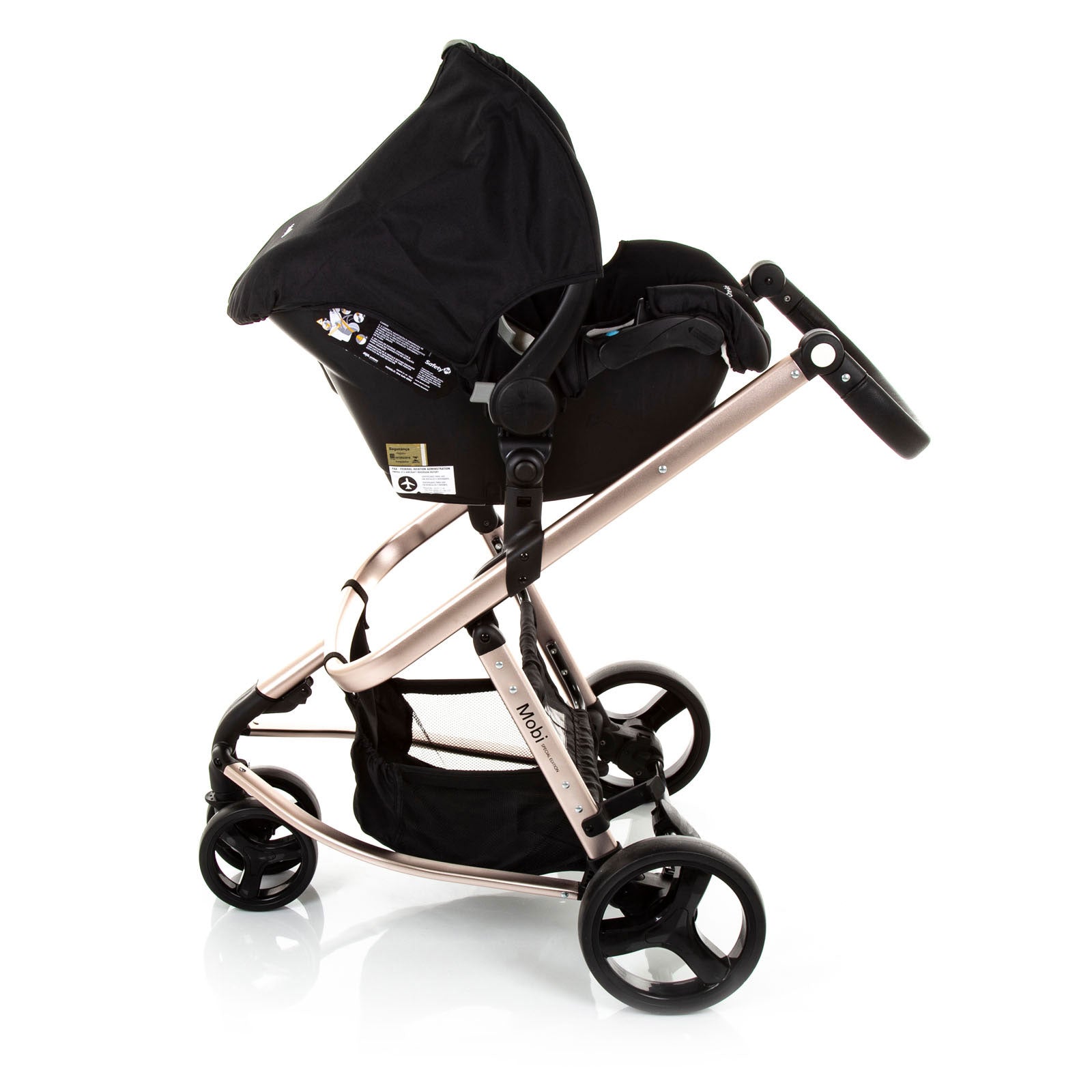 Black Rosé - CAX00406