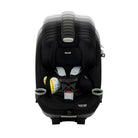 Essential Black - IMP02382