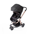 Black Rosé - CAX00558