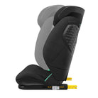 Authentic Black - IMP02496