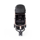 Black Rosé - CAX00558